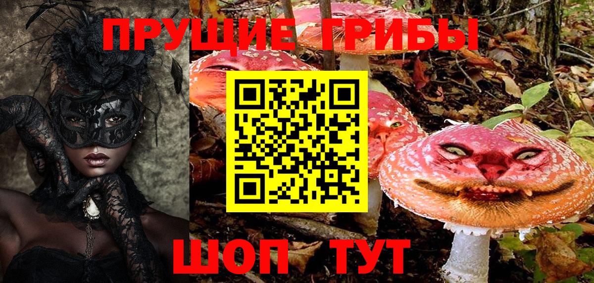 где купить наркоту  Галлюциногенные грибы Magic Shrooms  Вход с VPN  Казань 